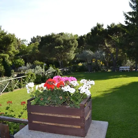 Fontanelle 3*